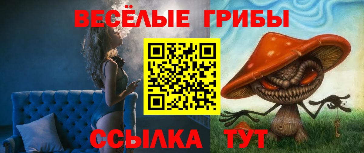 Галлюциногенные грибы Cubensis  Вход с VPN  Галлюциногенные грибы мицелий  Ефремов 